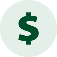 Large dollar sign icon