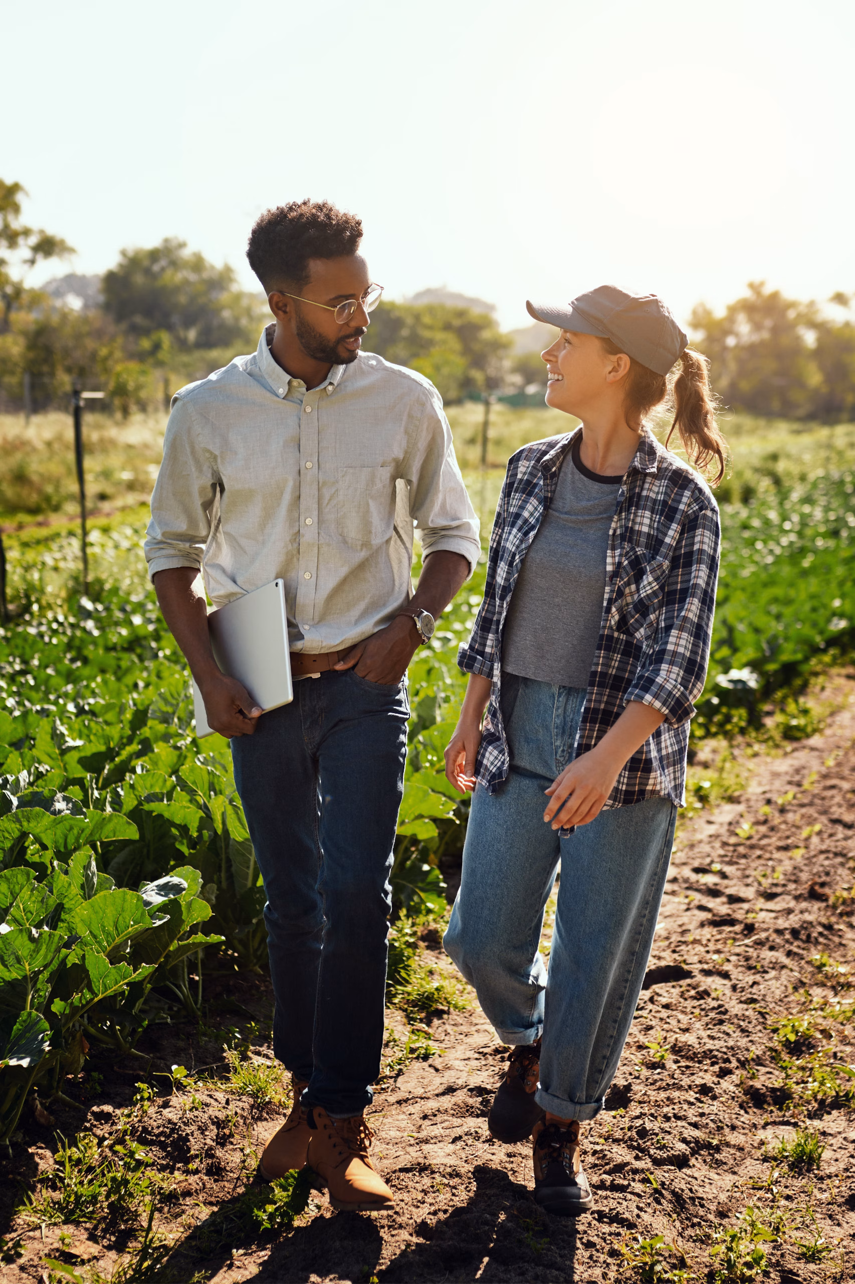 Northland Capital Support