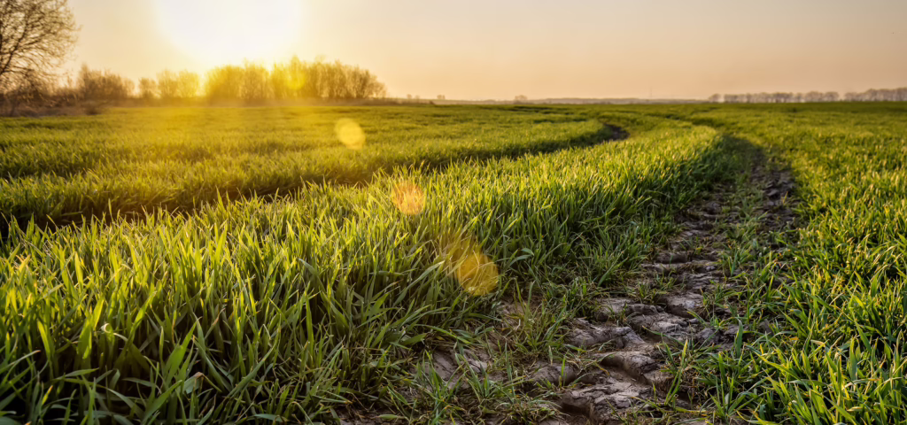 Inventory Hero Tire Tracks 