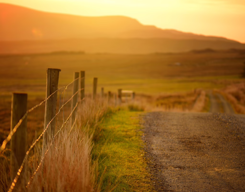 Landscape Image For Nc