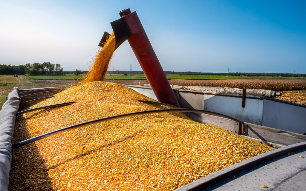 Northland Capital Ag Transportation