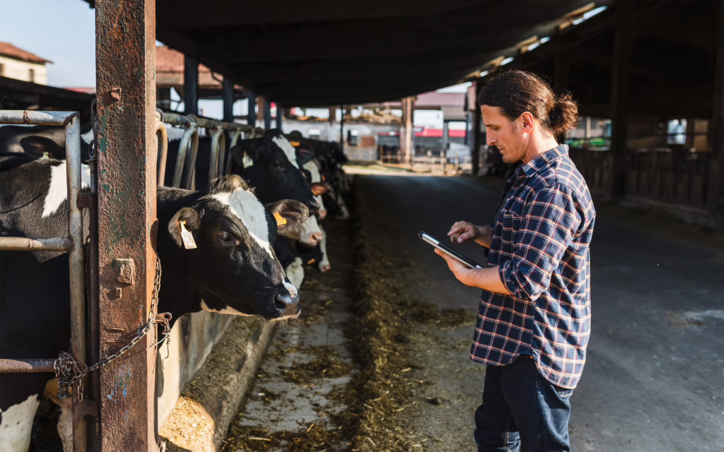 Northland Capital Livestock Production