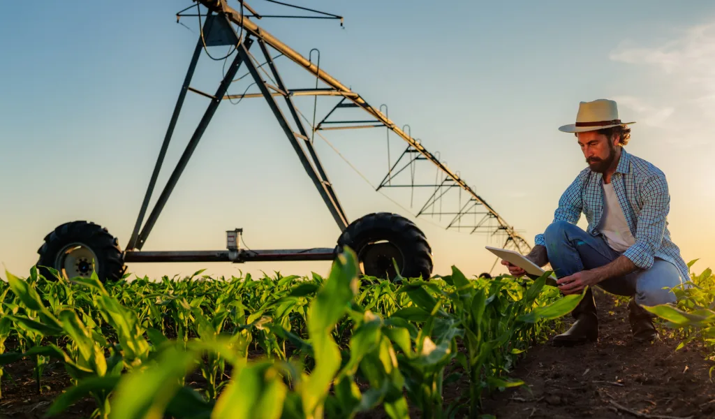 Explore Your Options Nc