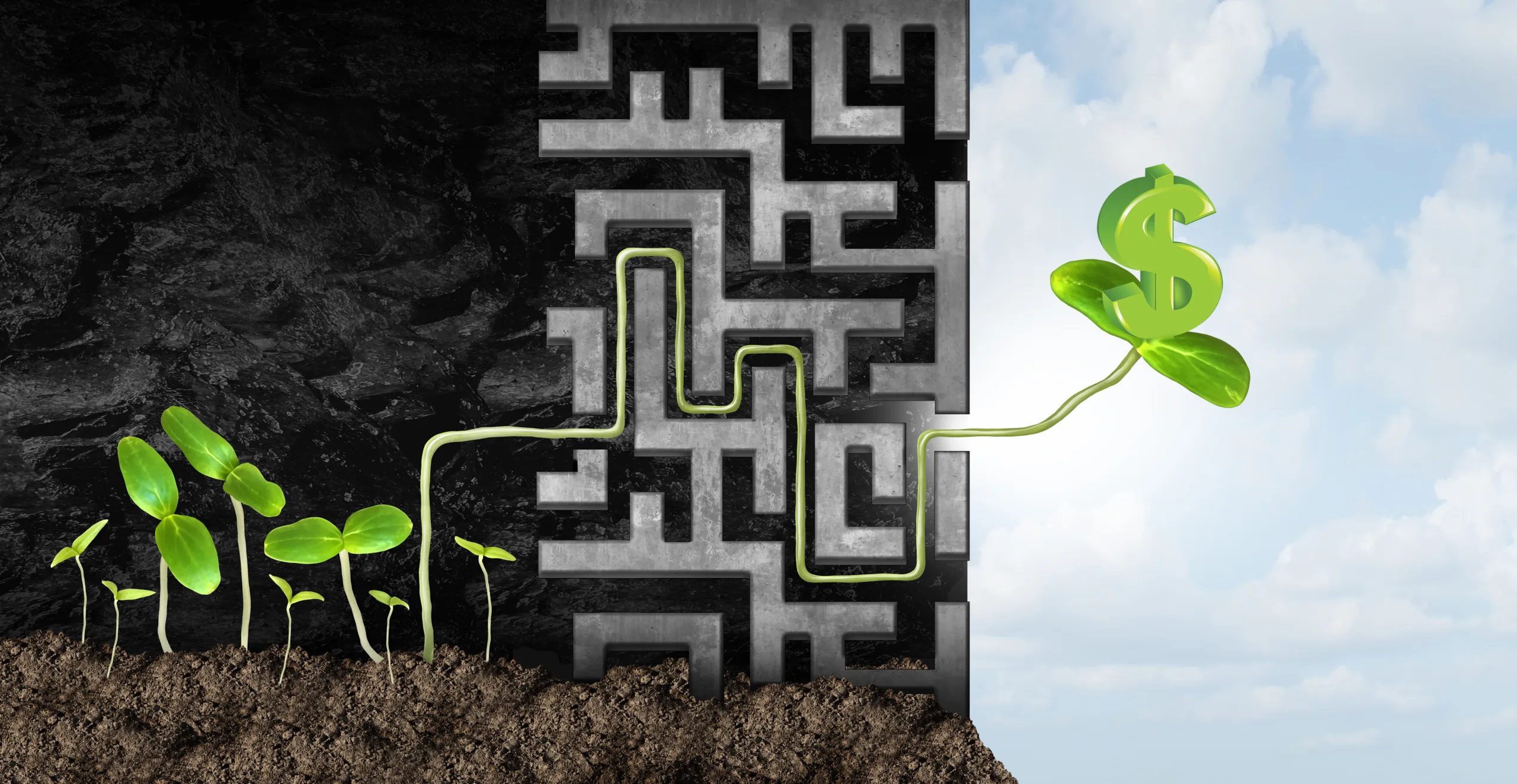 Spring Equipment Decisions Put Cash Flow in the Spotlight