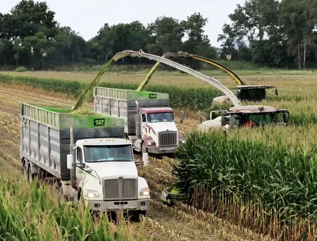 Woeste Harvest 2